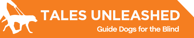 White GDB logo, Tales Unleashed newsletter title with a graphical image of a guide dog and handler on a orange background