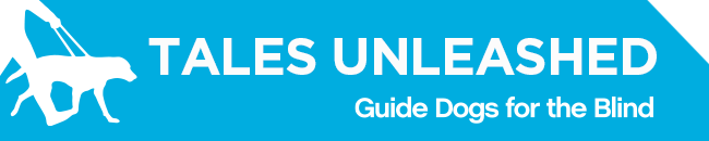 White GDB logo, Tales Unleashed newsletter title with a graphical image of a guide dog and handler on a blue background