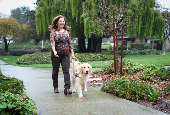 Yolanda walks on a path with her Golden Retriever guide dog