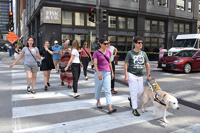 A guide dog user leads a group of professional O&M instructors across a crosswalk on a city street.